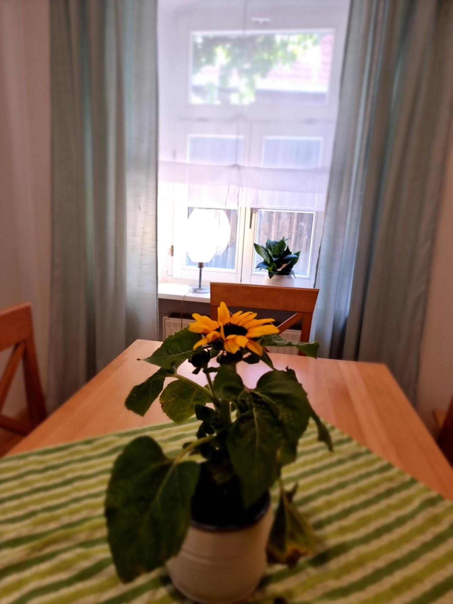 Ferienwohnung Boehm Segnitz ห้อง รูปภาพ